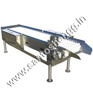 Inspection tables conveyors