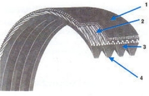 Ribbed/Poly V-Belts