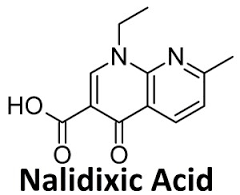 NALIDIXIC ACID