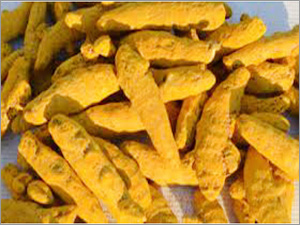 Organic Raw Turmeric