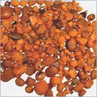 Ox Gallstone