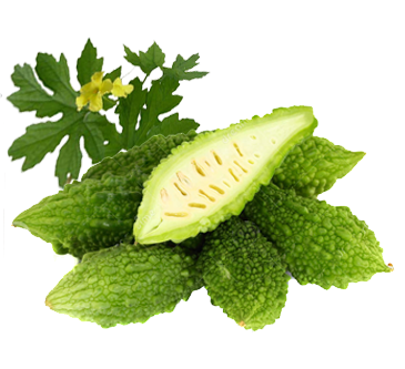Bitter Gourd Oil