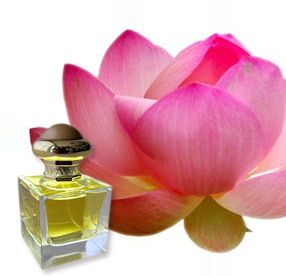 Indian Lotus Attars