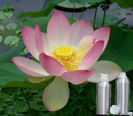Lotus Perfume Oil