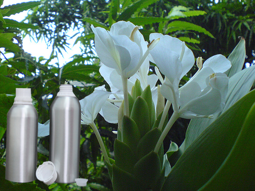 Sontaka Attar