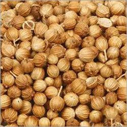 Coriander Seeds