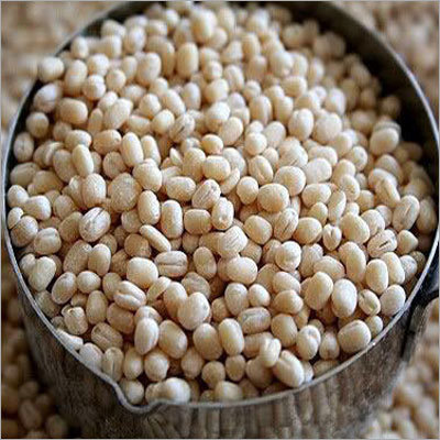 White Chana Dal