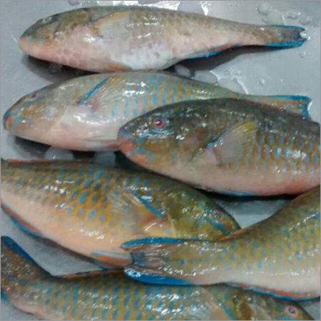 Pomfret Vaval Fish