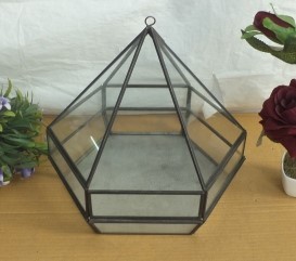 Hexagonal Pyramid Terarrium medium