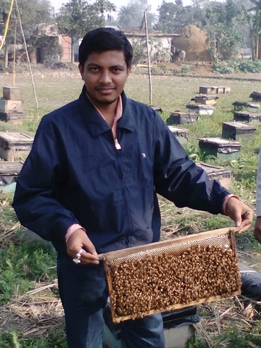 Apiary Honey