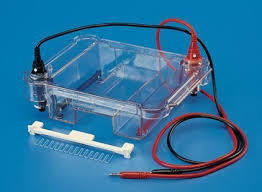 MINI SUBMARINE ELECTROPHORESIS UNIT