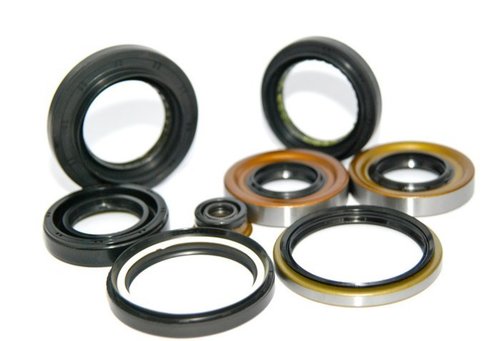 Oil Seals