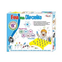 Fun With Circuit Toy