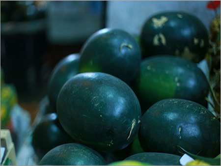 Green Watermelon
