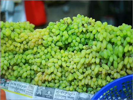 Fresh Grapes