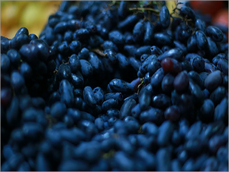 Fresh Black Grapes