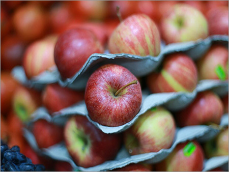 Fresh Apple