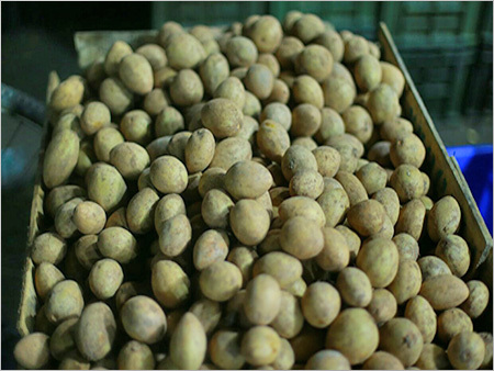 Fresh Potatoes