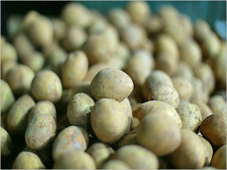 Potato