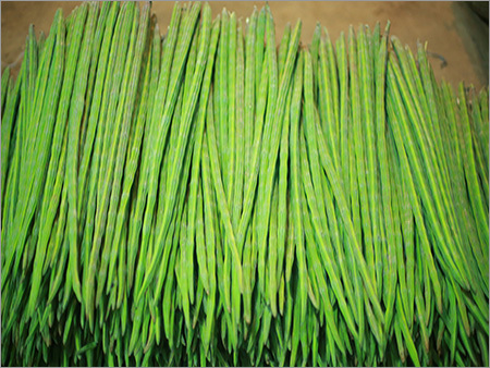 Farm Fresh Vegetables