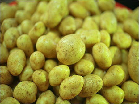 Fresh Potato