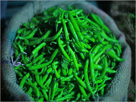 Fresh Green Chilli