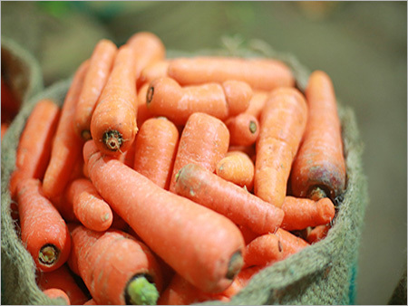 Fresh Carrot