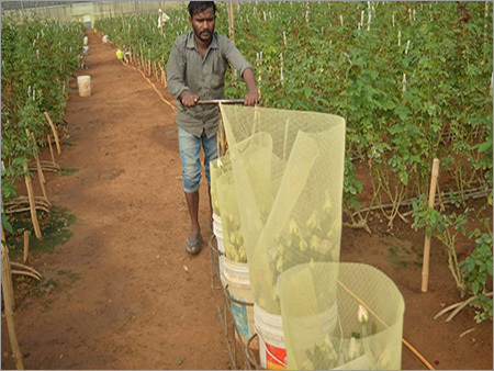 IBET-Exim Farm