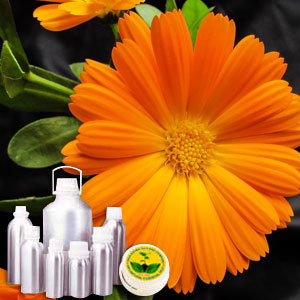 Calendula Absulute Oil By INDIA AROMA OILS AND COMPANY