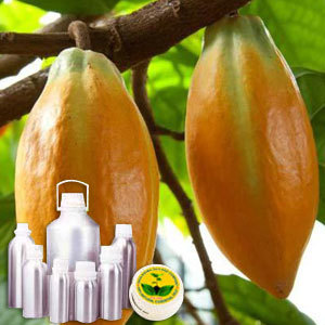 Cocoa Absolute Oil