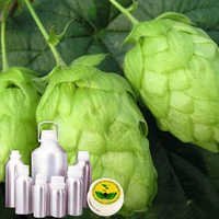 Hops Absolute Oil