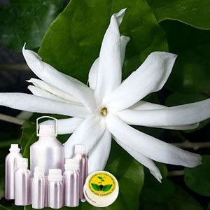 Jasmine Grandiflorum Absolute Oil By INDIA AROMA OILS AND COMPANY