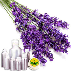 Lavender Brown Absolute Oil