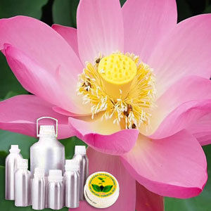 Lotus (Pink) Absolute Oil