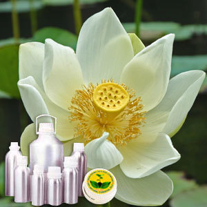 Lotus (White) Absolute Oil
