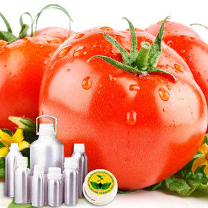 Tomato Leaf Absolute Oil