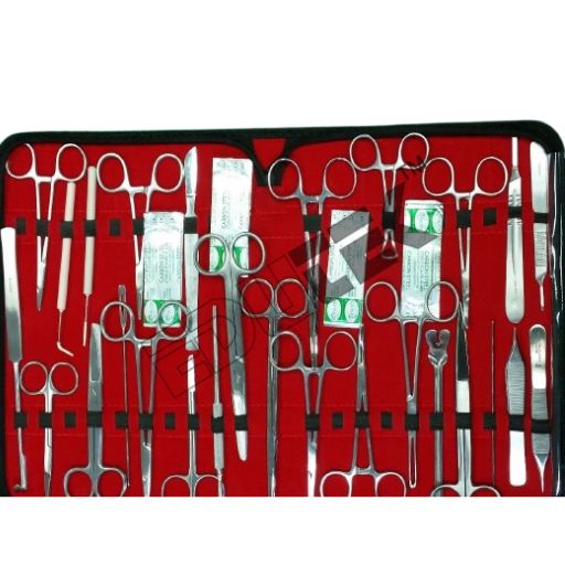 Surgical Box By Edutek Instrumentation