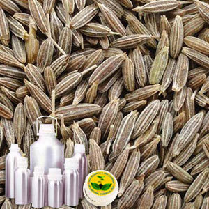 Cumin Seed Oil By INDIA AROMA OILS AND COMPANY