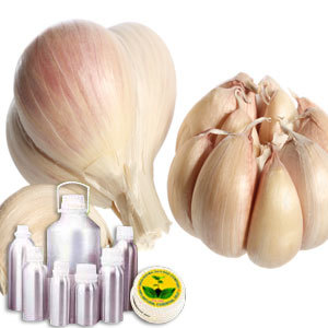 Garlic Oil By INDIA AROMA OILS AND COMPANY