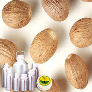 Nutmeg Oil By INDIA AROMA OILS AND COMPANY