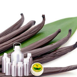 Vanilla Oil By INDIA AROMA OILS AND COMPANY