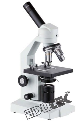 Compound Microscope