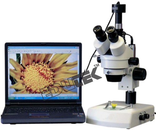 Stereo Microscope