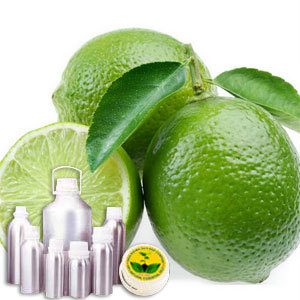 Lime Oil Certified Organic