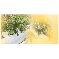 Cocopeat Grow Bags