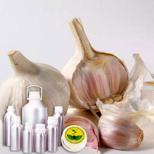 Garlic CO2 Extract Oil By INDIA AROMA OILS AND COMPANY