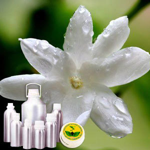 Jasmine CO2 Extract Oil By INDIA AROMA OILS AND COMPANY