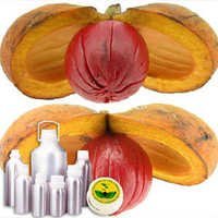Nutmeg CO2 Extract Oil