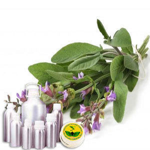 Wildcrafted Clary Sage Oil