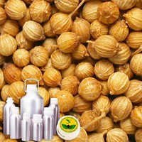 Wildcrafted Coriander Oil